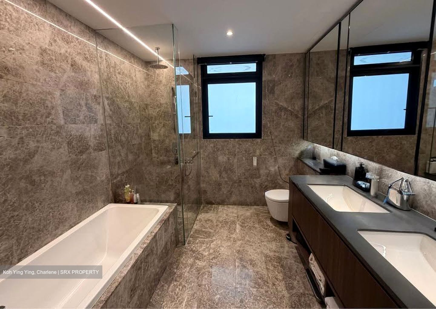 Kopar At Newton (D9), Apartment #632525921
